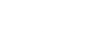 Logo Defog